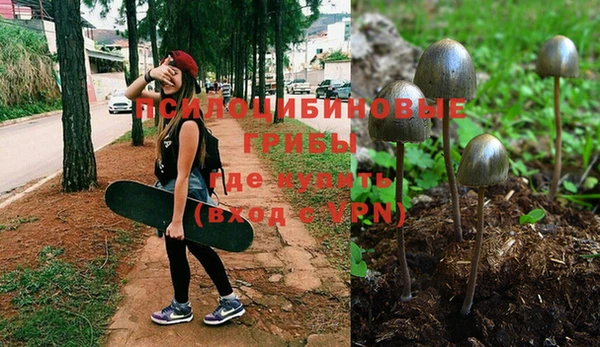 каннабис Волоколамск