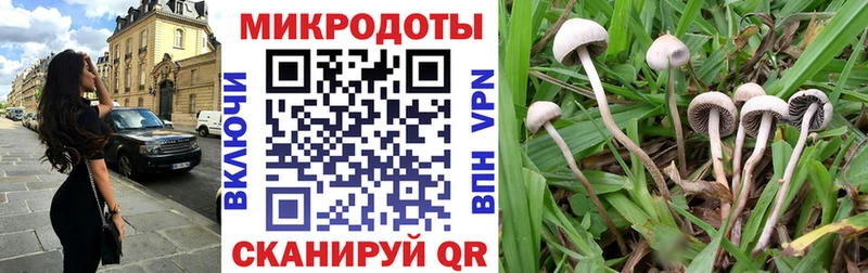 нарко площадка какой сайт  Новохопёрск  Галлюциногенные грибы Magic Shrooms 